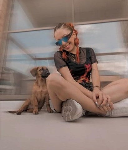 Feid Sunglasses | Iridescent Futurist Shield Frames